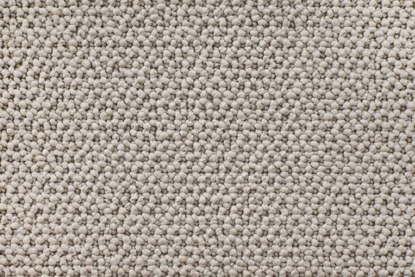 Cortino close-up