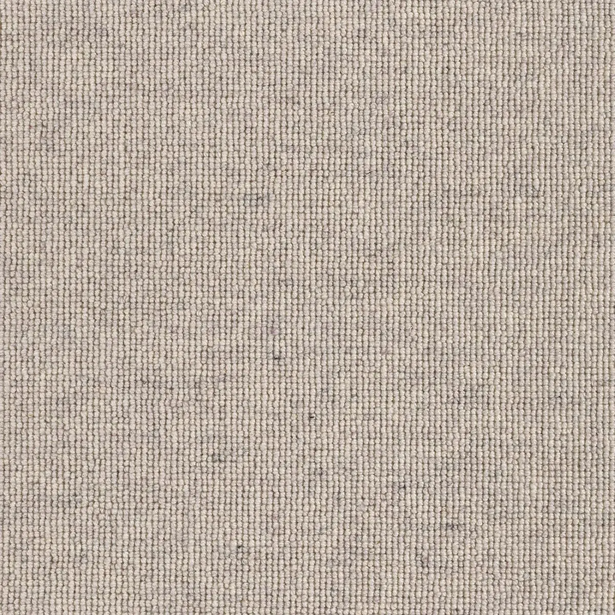 Hause in Three, close-up