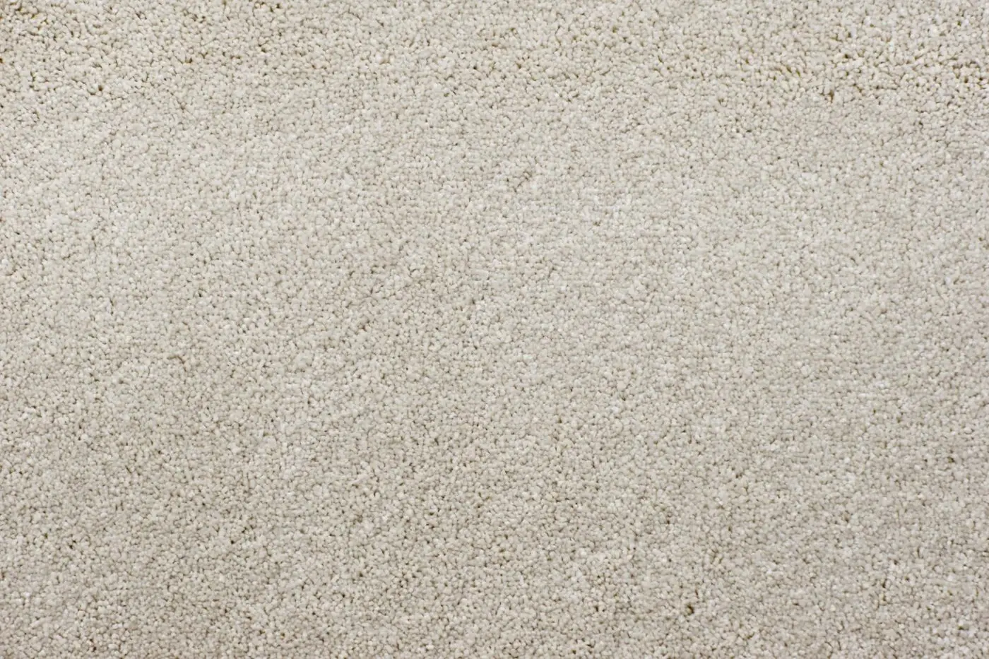 Herregan in Snowfield, close-up