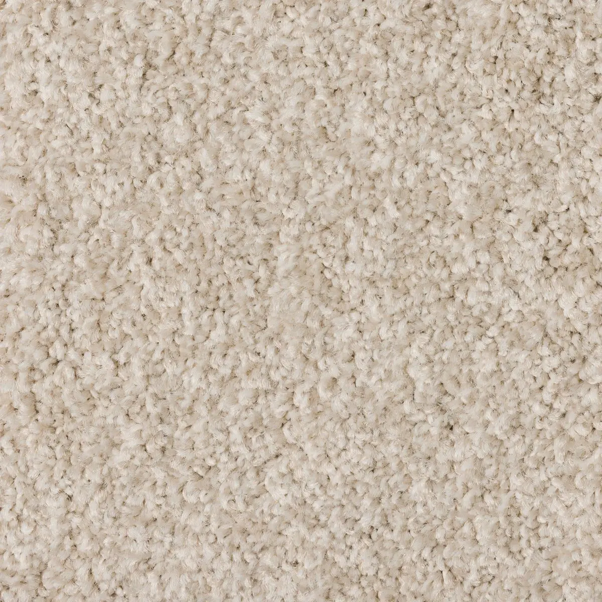 Limelight in Kudos, close-up
