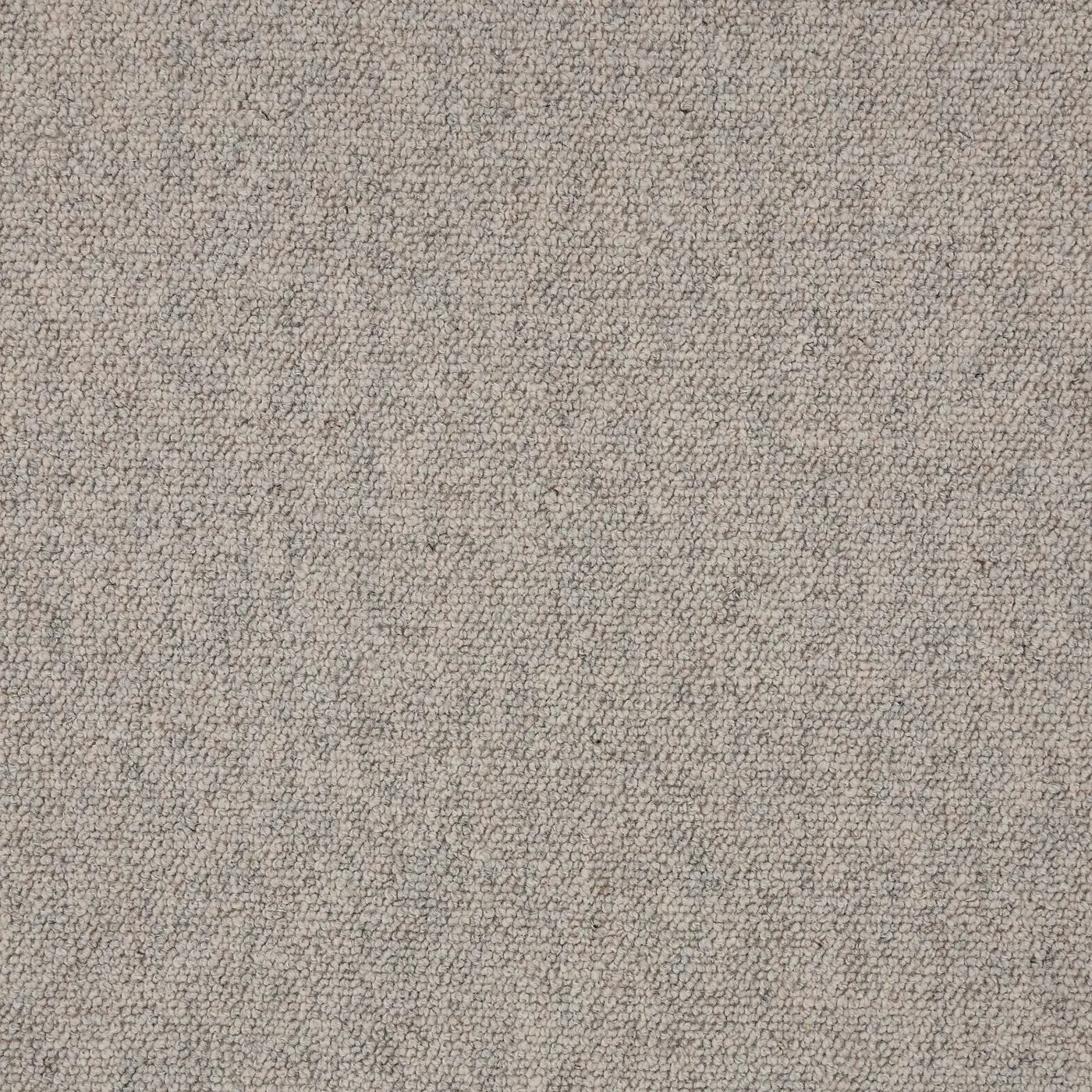 Sirocco in Desert Clay, close-up