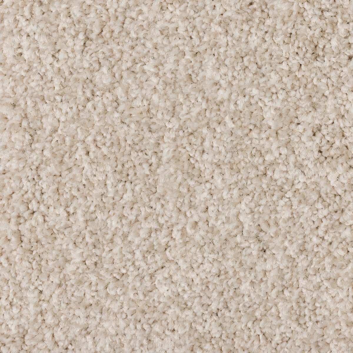 Starlight close-up