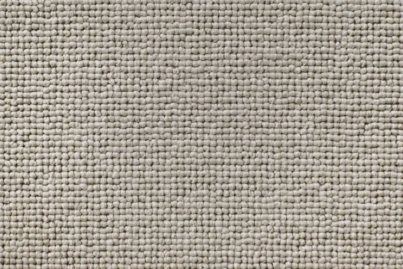 Torenco in Daylight, close-up